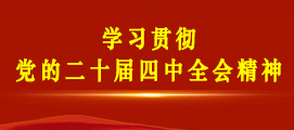 学习贯彻党的二十届四中全会精神