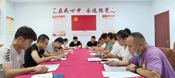 队团委组织青年开展主题团日活动